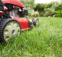 Trawy na boiskach sportowych są koszone nawet 50-60 razy do roku. Przydomowy trawnik nie potrzebuje tak systematycznego przycinania, częstotliwość zabiegów należy jednak dostosować do okresu wegetacyjnego trawy. (zdj.: Adobe Stock)