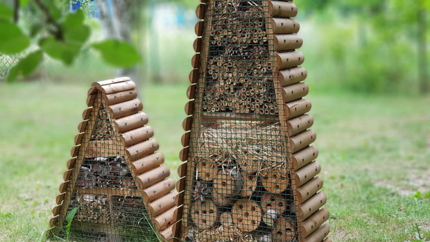 Ustawione zostały w sadzie,prócz funkcji użytkowej stanowią zarazem  element dekoracji.Owady w tym lokum będą mogły złożyć jaja,schronić się przed deszczem lub po prostu  przenocować.