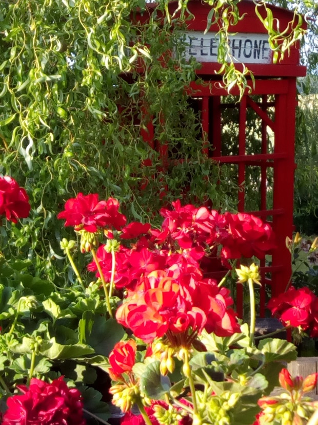 W czerwonym kolorze.