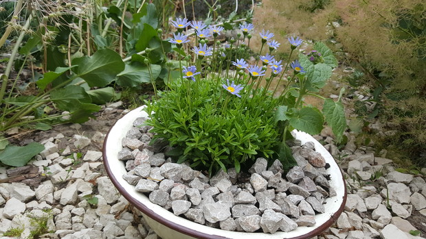 W  ogrodzie lubię wykorzystywać "starocia" to świetna dekoracja.