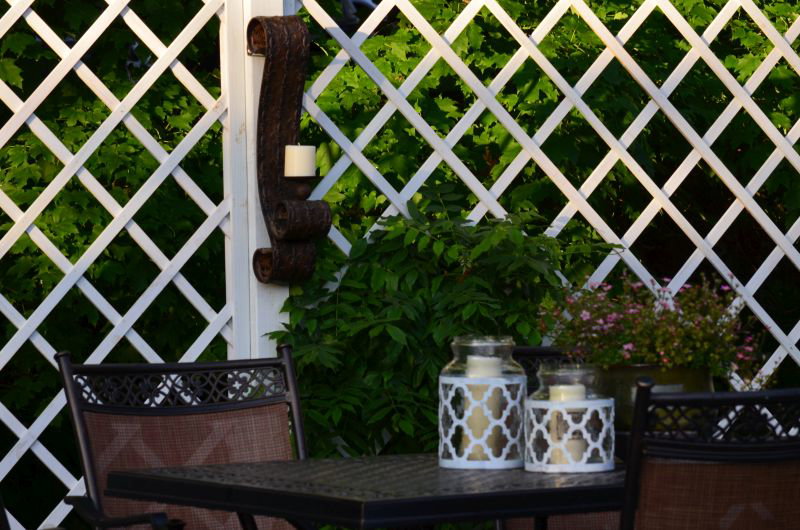 w przyszłym roku mam nadzieję że glicynia porośnie całą kratownicę 