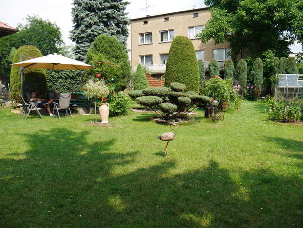 widok na tylną część ogrodu