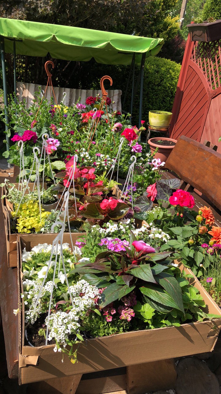 Wiosna i do dzieła :)