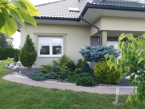 Z roślinami kojarzą się nam różne etapy w życiu. Ta iglasta rabata była jedną z pierwszych po kupnie domu. To były 3 miesiące, kiedy mąż był unieruchomiony złamaną nogą i wtedy jeszcze nie interesował się ogrodem. Dziwnie na mnie patrzył jak chodziłam z w