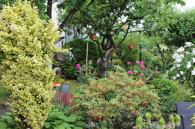 Zieleń jest piękna