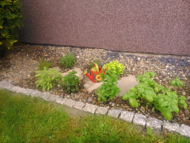 Zioła z mini zielnika wzbogacają smak potraw przez całe lato.