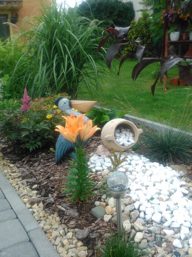 Źródło "suchej rzeki " i jego "strażnik".
