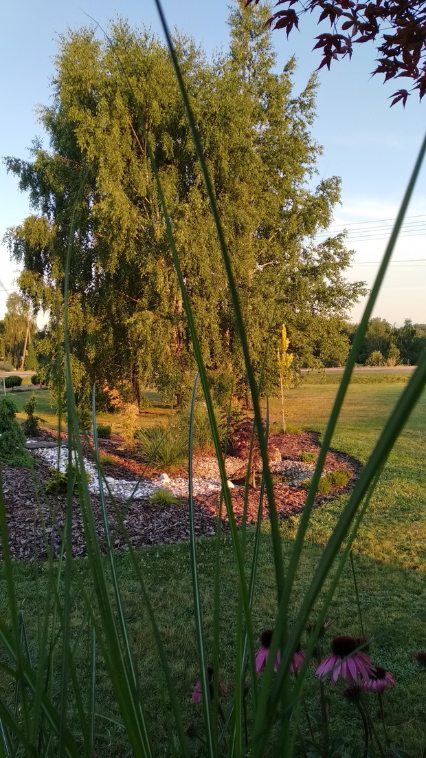 Brzozowa z innej perspektywy...