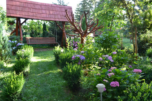 Bukszpanowa alejka prowadząca do huśtawki