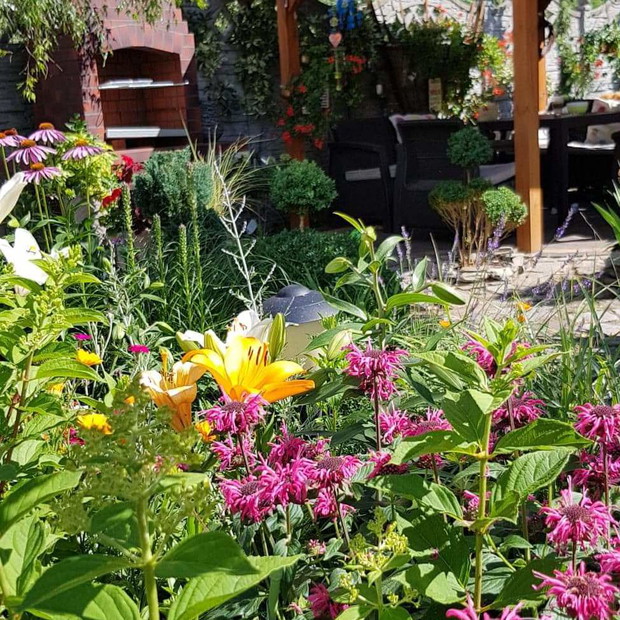 Bylinowe rabaty przyciągające mnustwo owadów wokół altany.