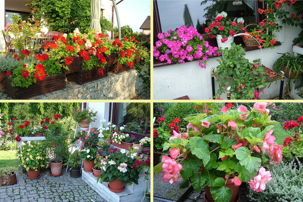 Cztery ujęcia tarasu, nie jestem wstanie pokazać wszystkiego naraz