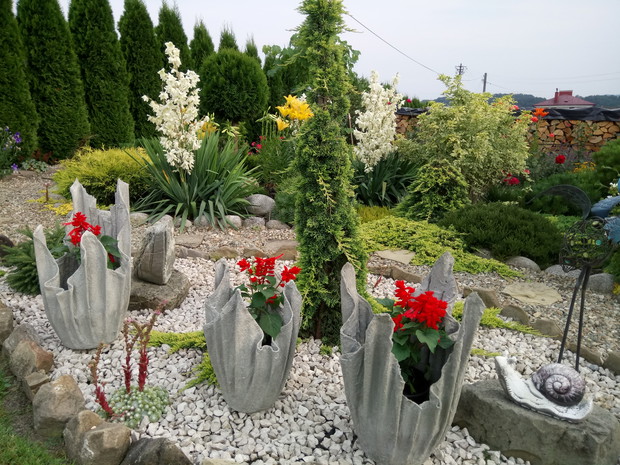 Donice betonowe które sama wykonalam a w nich szałwia czerwona.