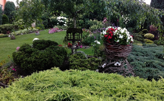 Flakon z winobluszczu.