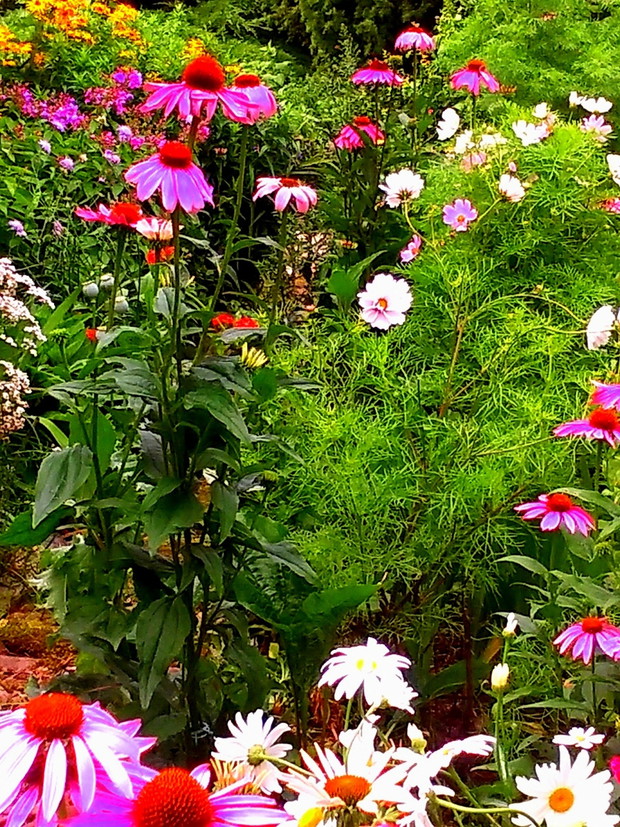 gąszcz z drugiej strony