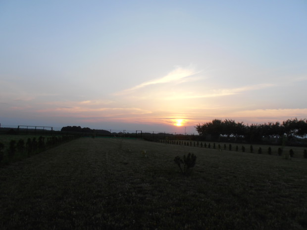 i kolejne miejsce do zagospodarowania 