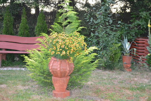 Jeden z wielu charakterystycznych drewnianych kwietników