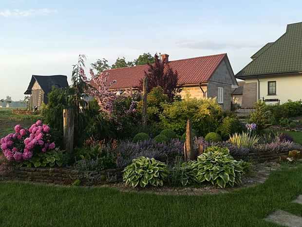 Jedna z wcześniej założonych rabat.