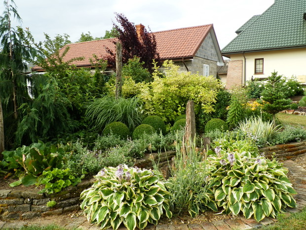 Jedna z wcześniej założonych rabat.