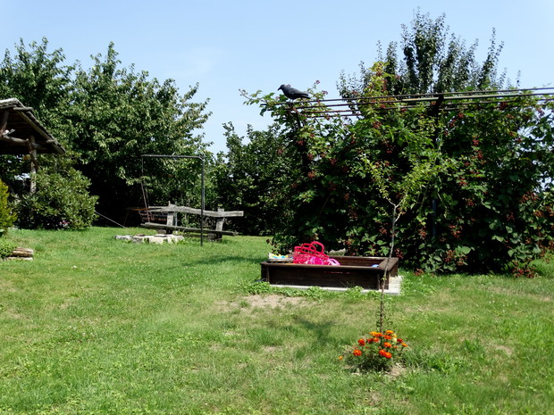 Kącik z piaskownicą pod krzakiem jeżyny 