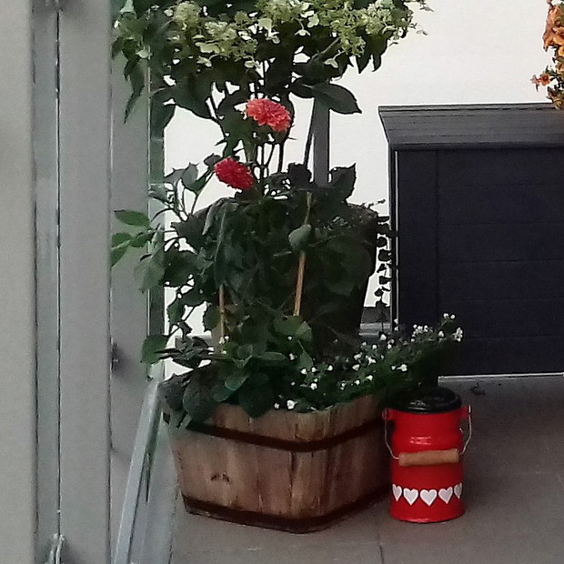 Kanka po kochanej babci Jance