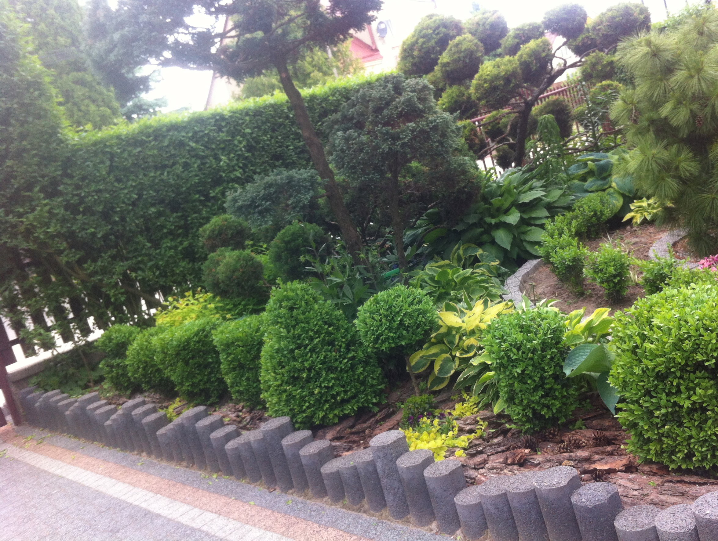 Kółka, kwadraty , stożki ... geometryczne zachcianki 