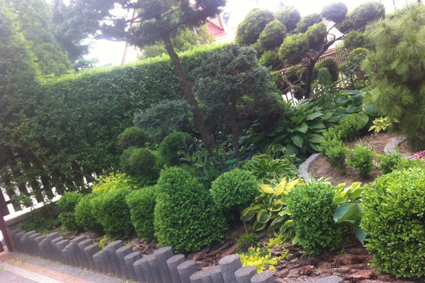 Kółka, kwadraty , stożki ... geometryczne zachcianki