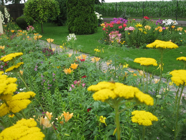 Kolorowo przez cały sezon.