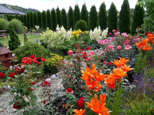 Kolory w moim ogrodzie rozświetlają nawet bardzo pochmurne dni.