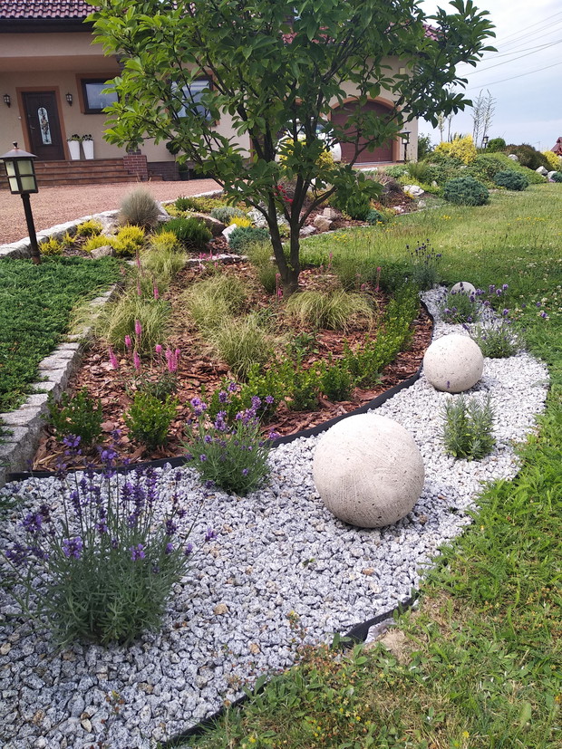 Kulkowa pod magnolią...