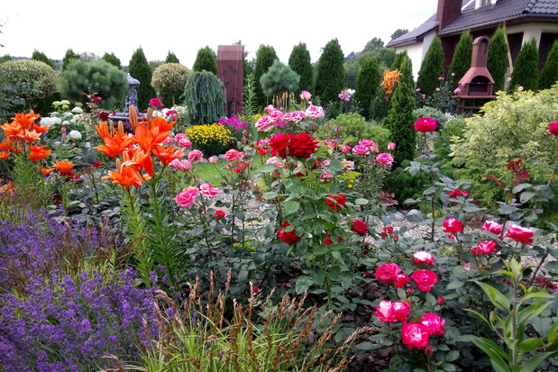 Lubię jak w moim ogrodzie jest kolorowo.