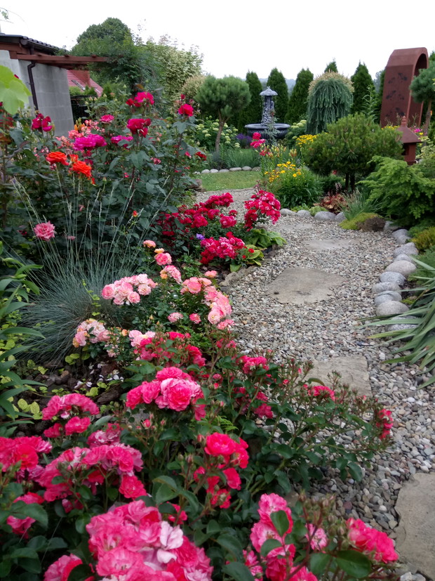 Lubię przechadzać się po kamiennych ścieżkach pomiędzy kwiatami.