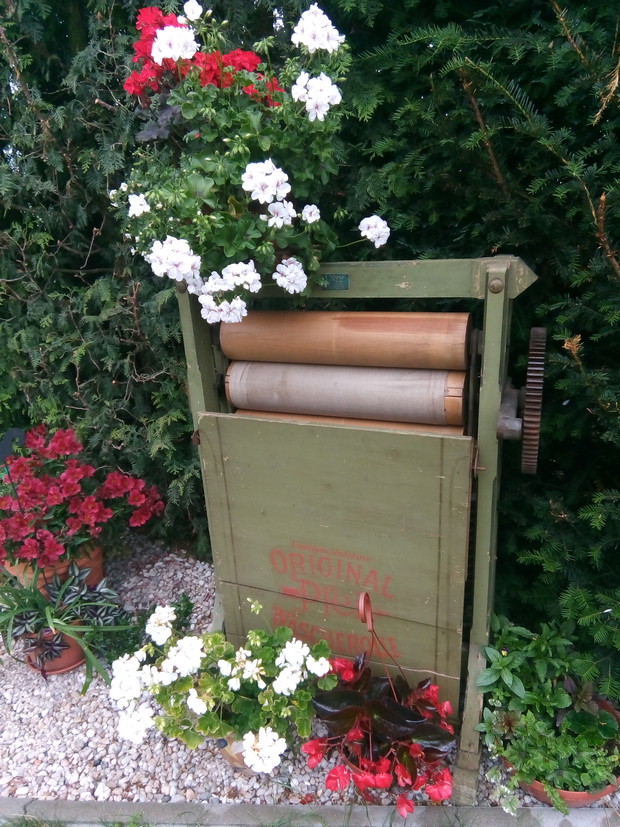 Magiel w drugim życiu 