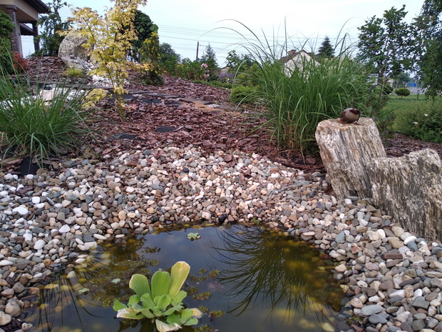 Mini oczko przy suchej rzece...