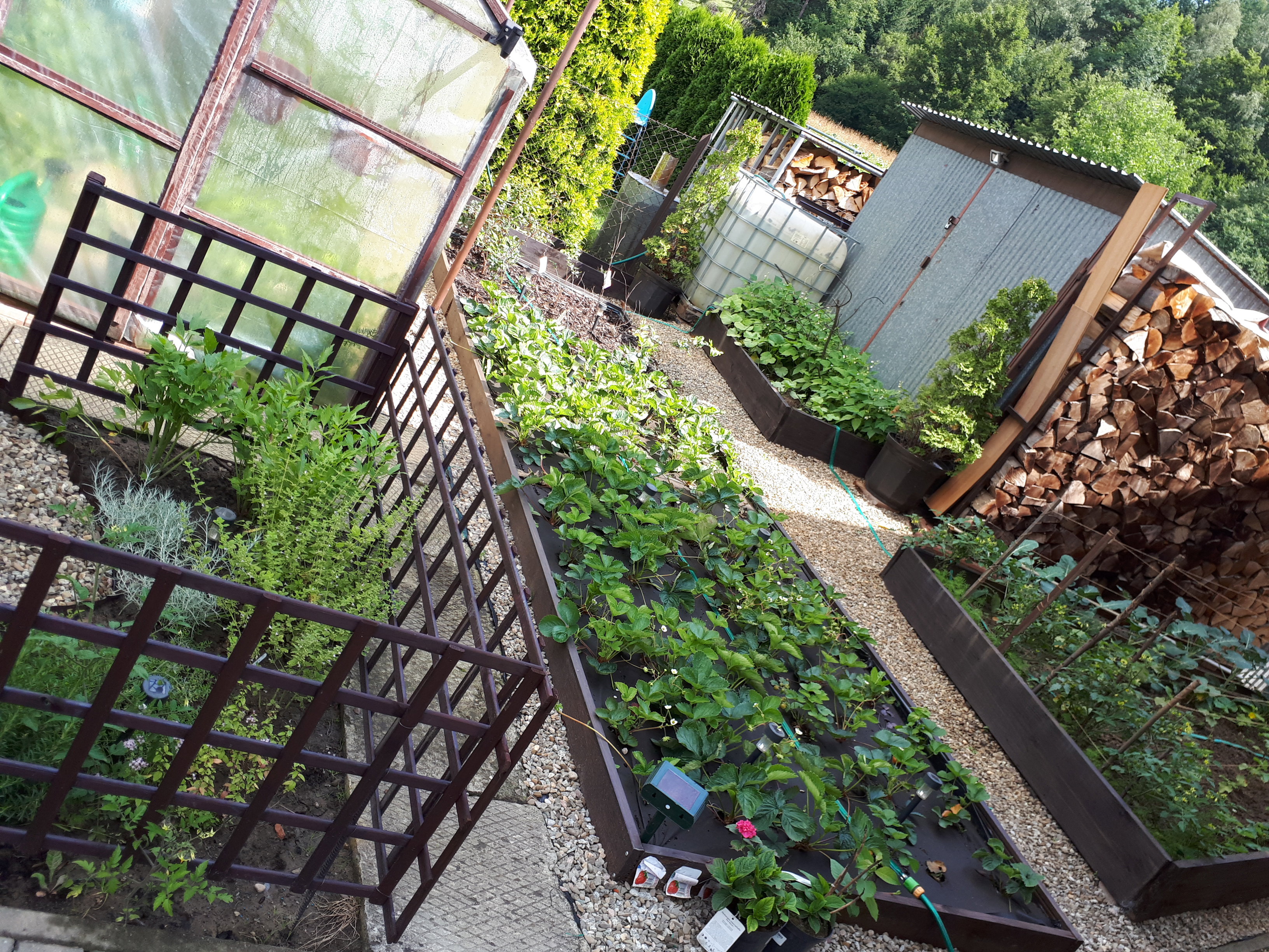 Mój piękny świat warzyw i owoców 