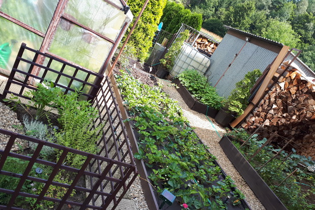 Mój piękny świat warzyw i owoców