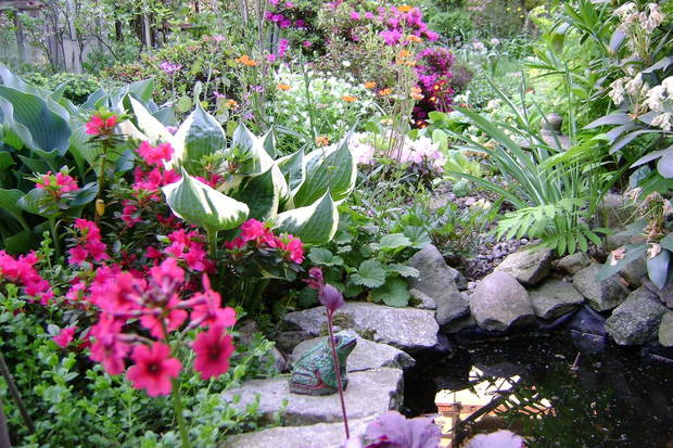 Nawet malutkie oczko wodne tworzy w ogrodzie mikroklimat korzystny dla takich roślin jak rododendrony i azalie oraz paprocie i funkie.