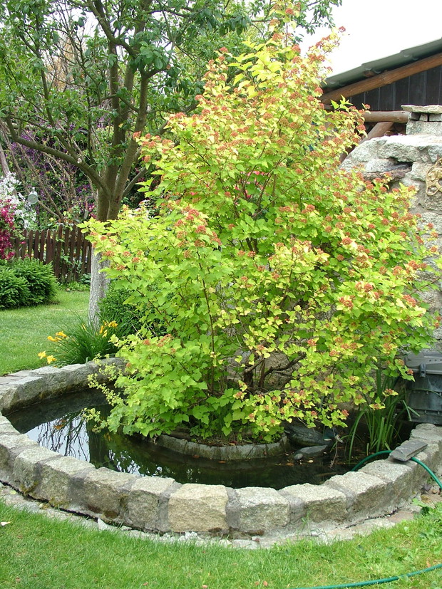 Oczko wodne w wysepką i kaskadą a zarazem przód grillo wędzarni