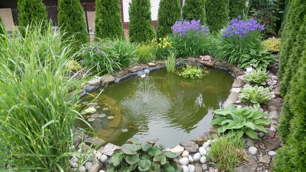 Oczko wodne wiosennie,w dali widać mojego ulubionego irysa syberyjskiego.