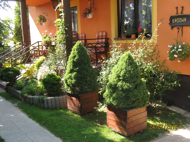 Ozdobne koniki w donicach całorocznych ( własnoręcznie wykonane ).