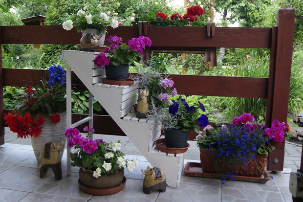 Pólka z roślinami sezonowymi na tarasie