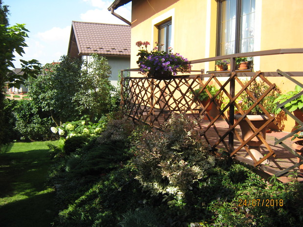 Przedłużenie kącika . Nasadzenia na skarpie ( dominuje irga , jałowce , akcenty kolorystyczne dają róże oraz waigele ( miniatury ).