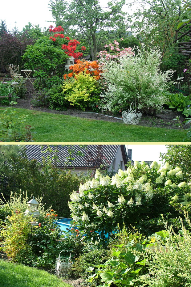 Rabata azaliowa, w późniejszym czasie kwitną tu hortensje bukietowe Limelight i Pinky Winky, obok nich specjalnie przygotowane miejsce na basen 