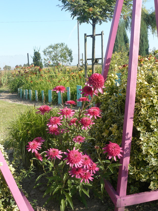 Rabata ze stojakami.