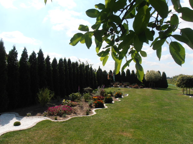 rabatka która rozpoczełam juz jesienia