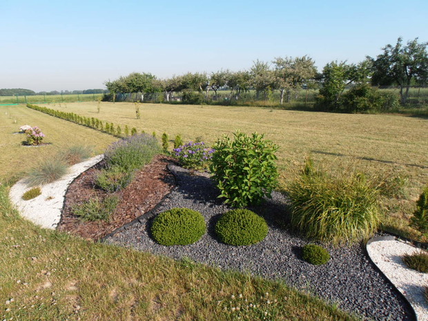 rabatka powstała na kolejnych 20 ar ogrodu który dopiero rozpoczynak urzadzać