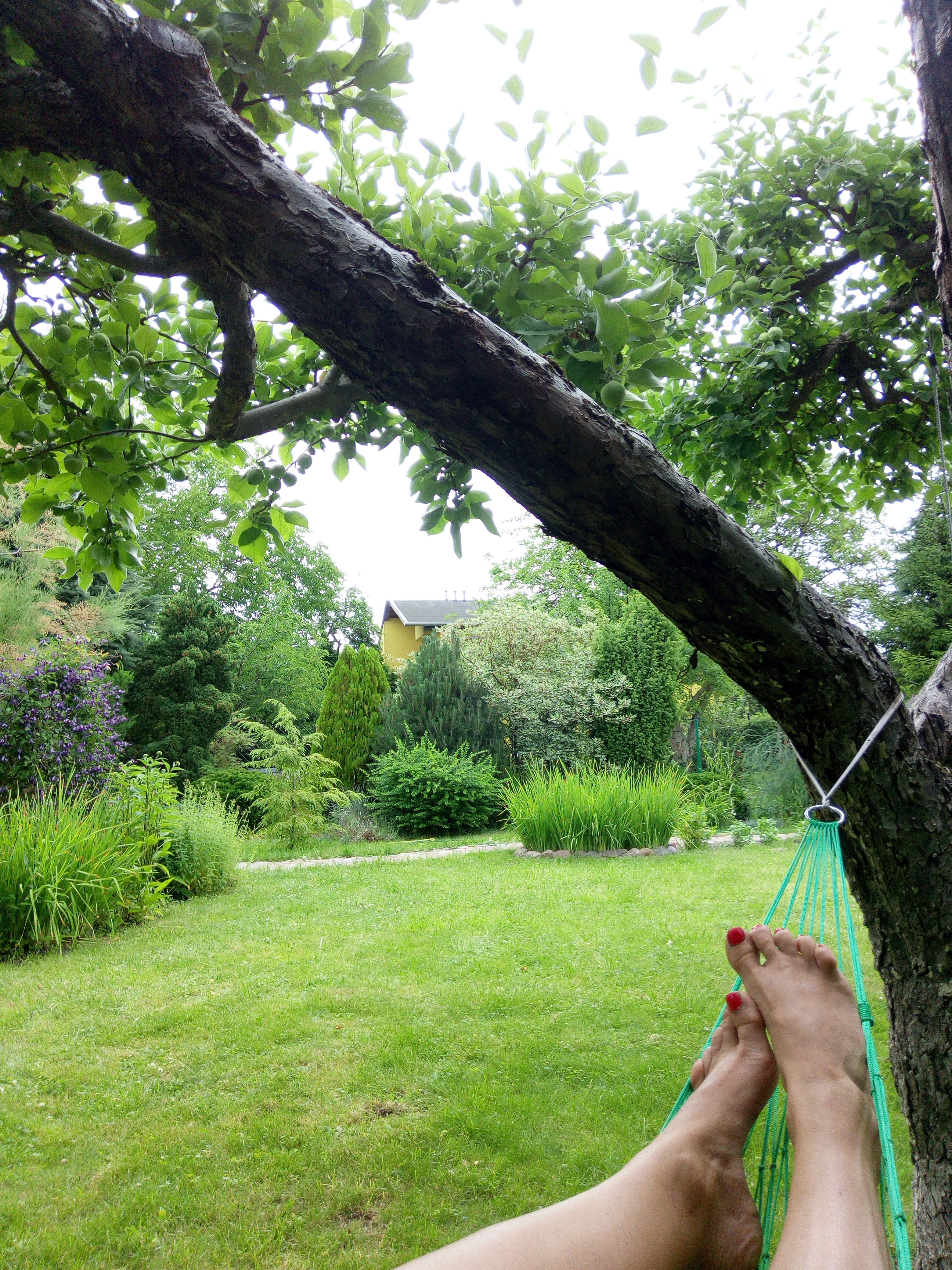 Relaks na hamaku. Zieleń w całej mnogości odcieni