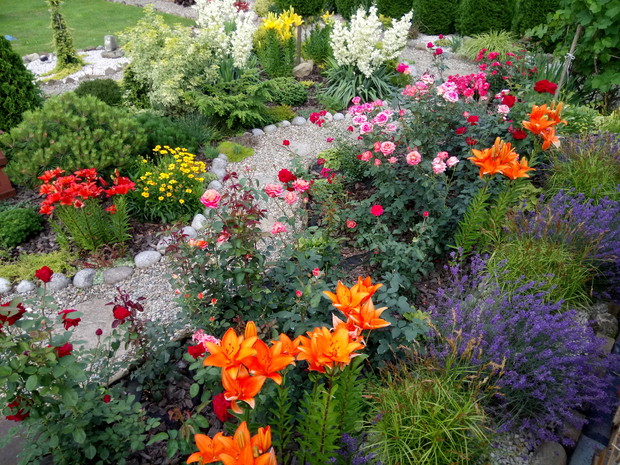 Ścierzką pomiędzy kwiatami wspaniale się spaceruje.