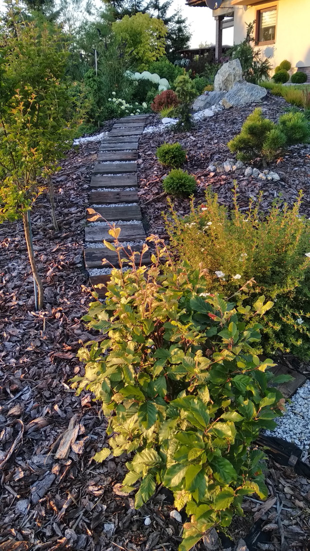 Suchą nogą przez suchą rzekę...