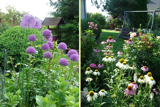 Ta sama rabata z innej perspektywy, w oddali ozdobna studnia wykonana przez mojego męża, gdzie odprowadzona zostaje woda z rynien domu, która wykorzystywana jest do podlewania