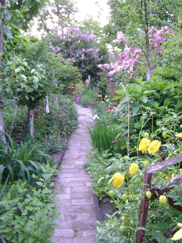 Ta ścieżka prowadzi do bzu,po drodze podziwiamy  powojnik tangucki, tulipany, białe irysy holenderskie i krzewuszkę różową "Styriaca".